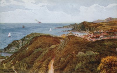 View from the Tors, Ilfracombe by Alfred Robert Quinton